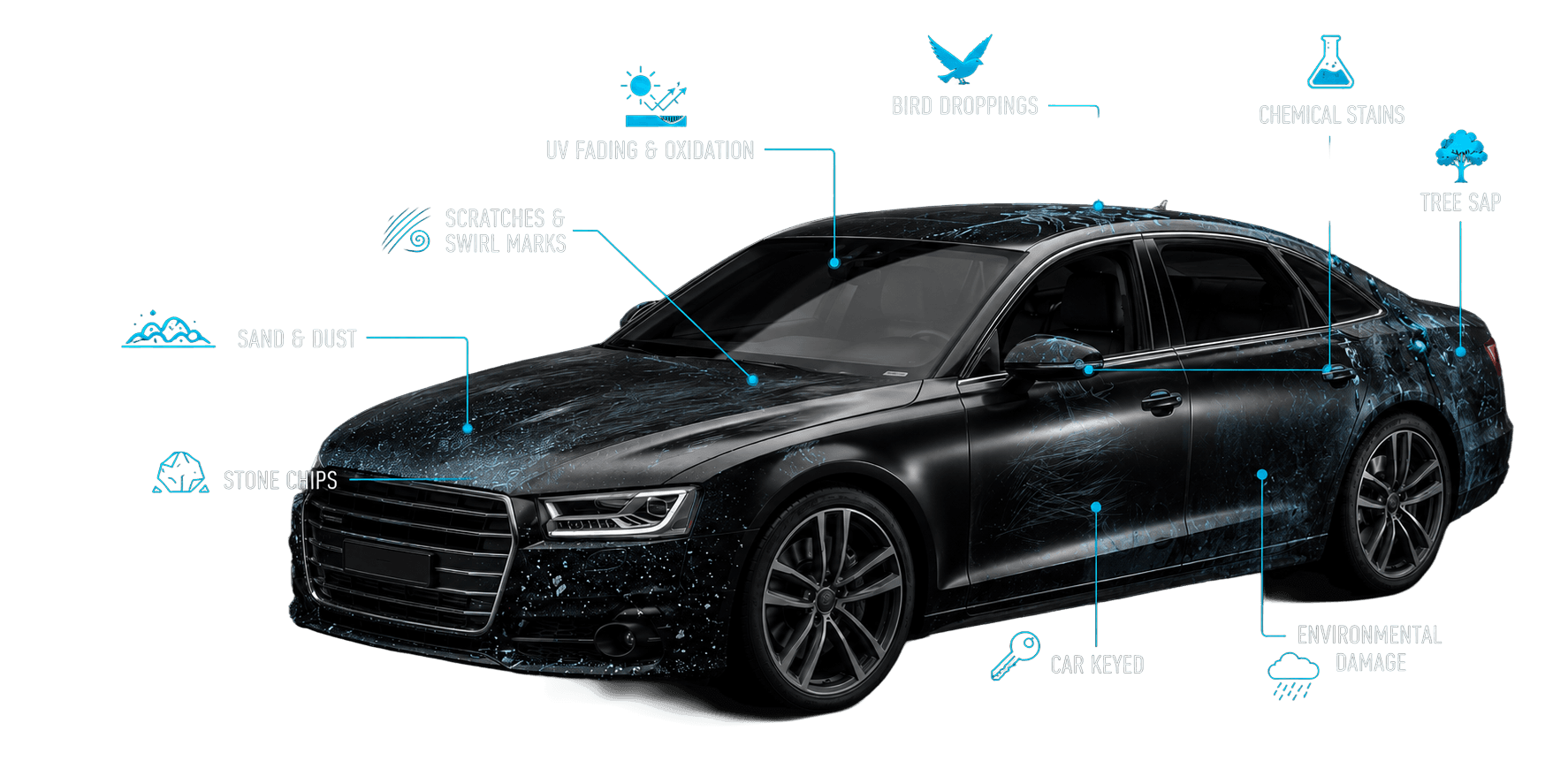 Every drive leaves a mark — common paint damage risks: sand & dust, stone chips, scratches & swirl marks, UV fading & oxidation, bird droppings, chemical stains, tree sap, car keyed, environmental damage